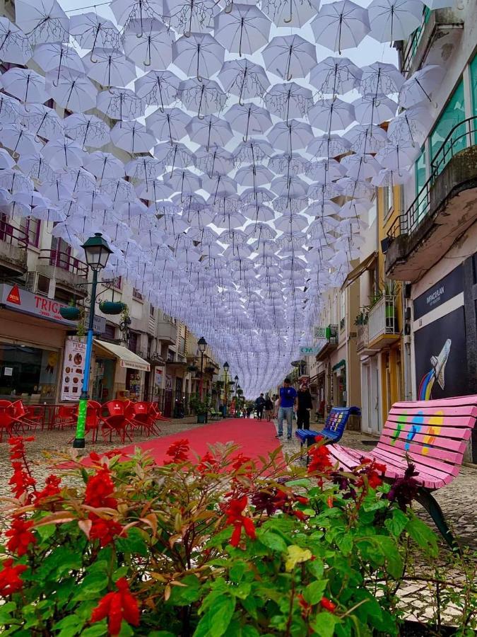 Terreno Das Mimosas อาเวโร ภายนอก รูปภาพ