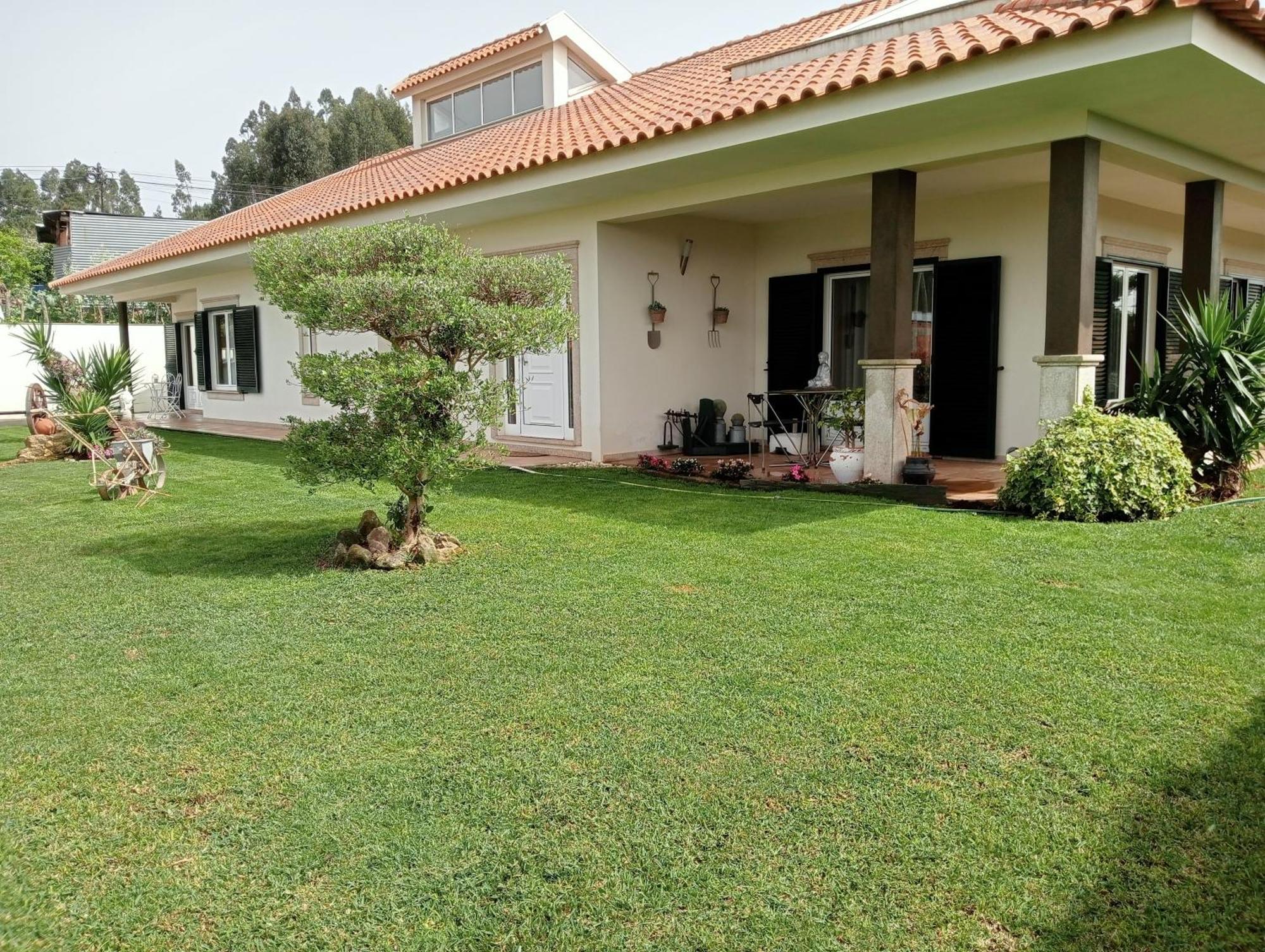 Terreno Das Mimosas อาเวโร ภายนอก รูปภาพ